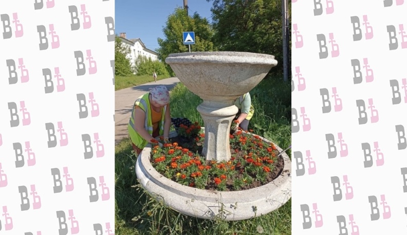 В Калуге продолжают высаживать летние цветы