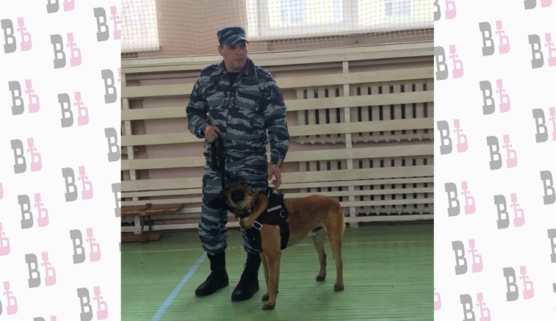 В калужской школе прошел урок мужества, связанный с кинологией