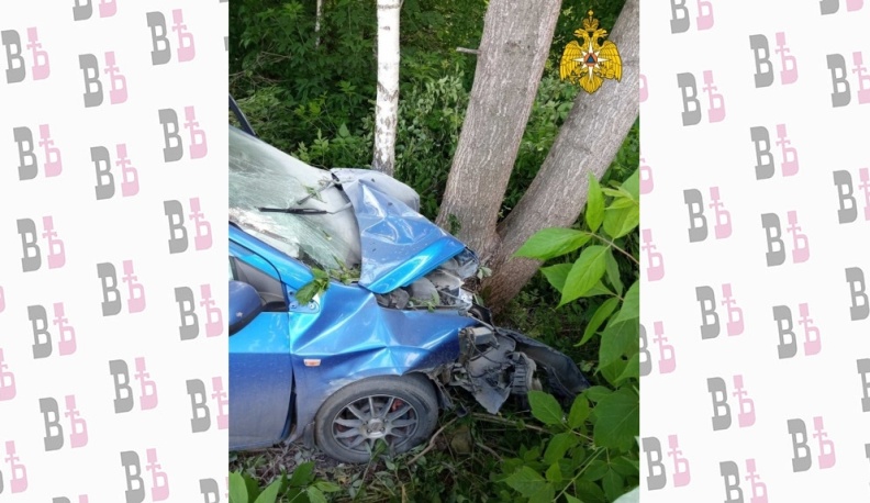 В Людинове иномарка съехала в кювет