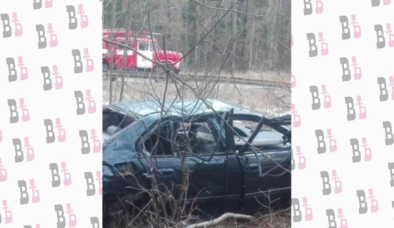 В Жуковском районе БМВ слетел в кювет и разбился о дерево