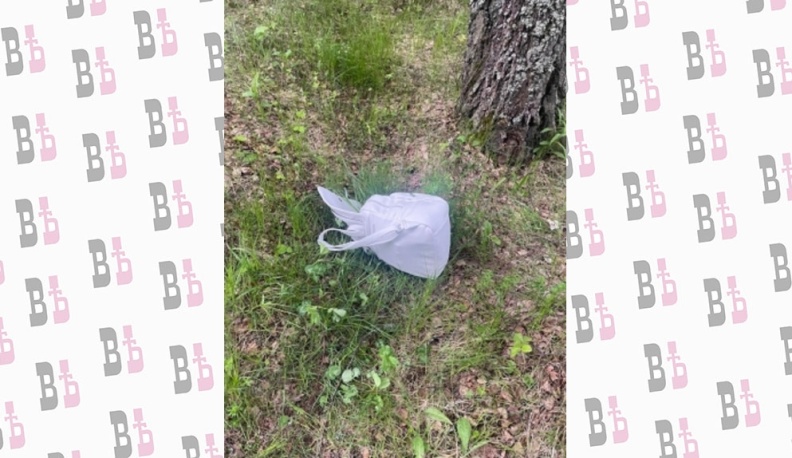 В Калужской области водитель попытался изнасиловать попутчицу 