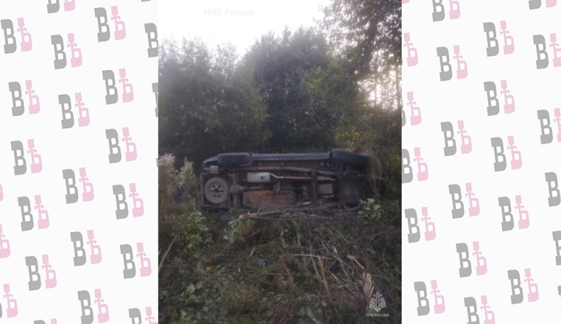 В Малоярославецком районе иномарка улетела в кювет