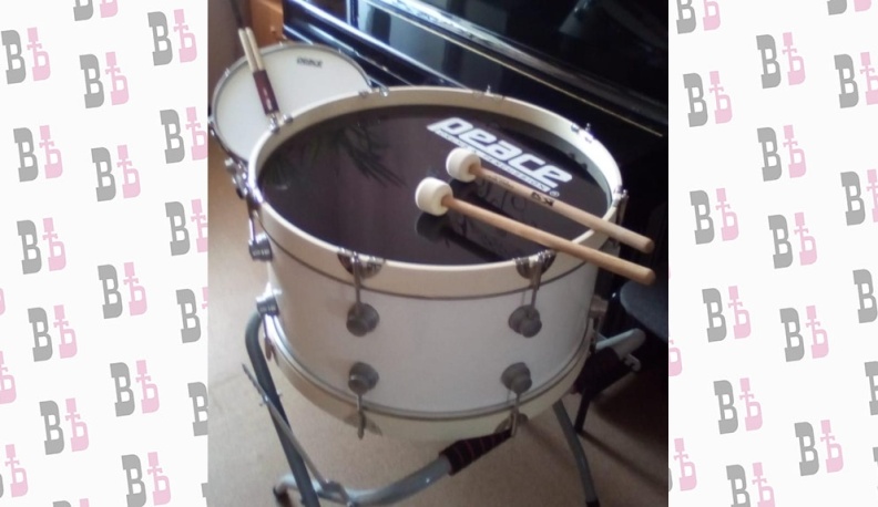 В 16 детских школ искусств Калужской области закупили ксилофоны и барабаны