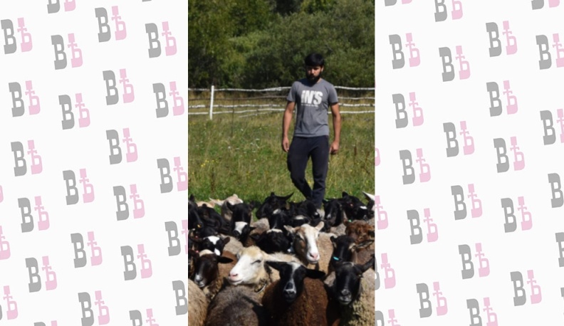 В деревне Кургановка Людиновского района появилось первое племенное овцеводческое хозяйство