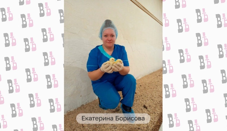 Владислав Шапша назвал лучших аграриев Калужской области 