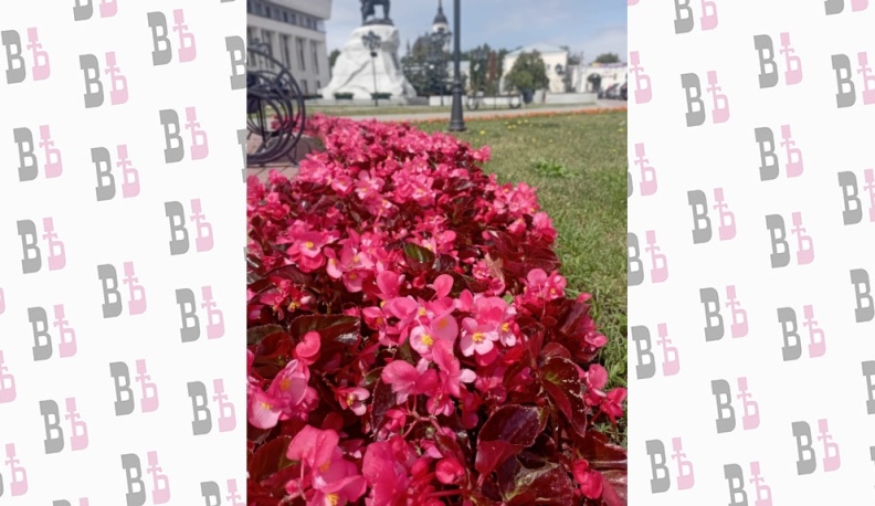 В парках и скверах Калуги высадили более 180 тысяч цветов