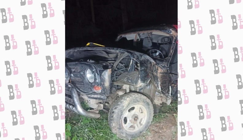 В Жуковском районе УАЗик налетел на дерево и разбился