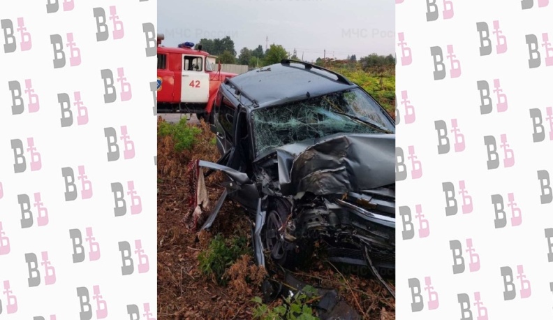 В Козельском районе Нива Шевроле влетела в дерево