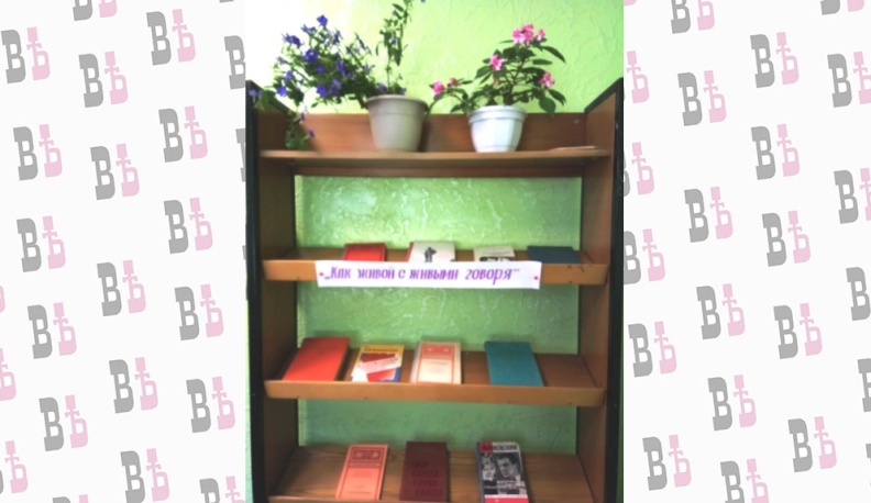 В библиотеках Барятинского района оформлены книжные выставки к юбилею Владимира Маяковского