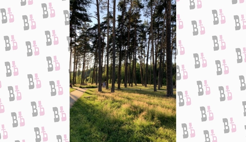 В Обнинске начался отборочный этап конкурса для юных фотохудожников