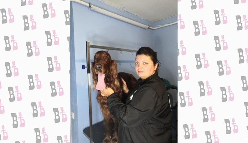 Модная причёска для хвостов и ушек