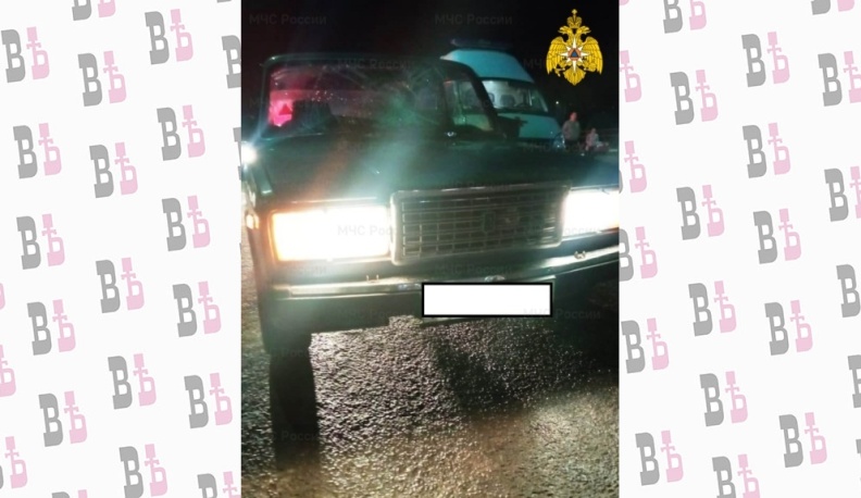 В Калужской области водитель «Жигулей» сбил пешеходов