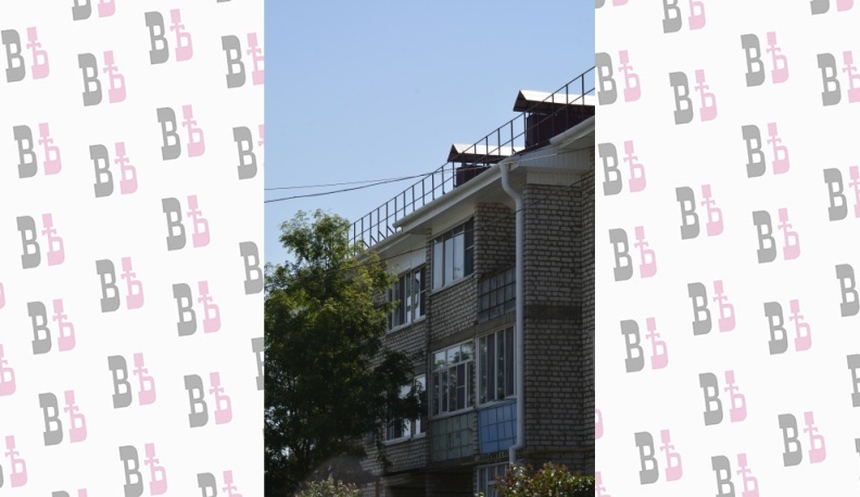 Из плена дождя