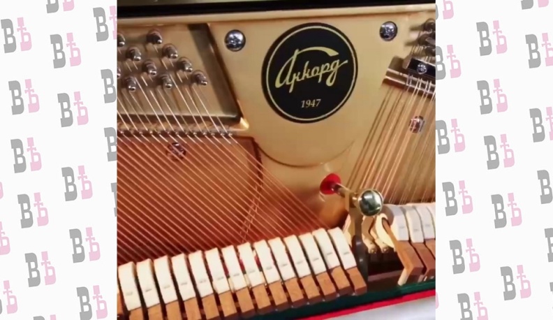 Калужская фабрика «Аккорд» борется за звание самого перспективного бренда России