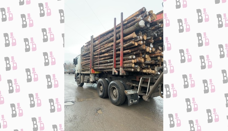 КамАЗ нагрузили под завязку, он вез 60 кубометров леса.