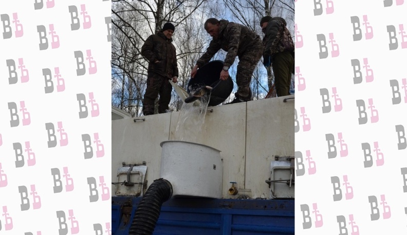 В озеро Ломпадь в Людинове выпустили более 30 тысяч мальков рыбы
