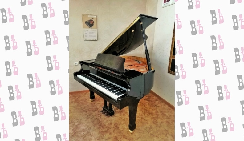 Детские школы искусств продолжают устраивать концерты-презентации новых музыкальных инструментов