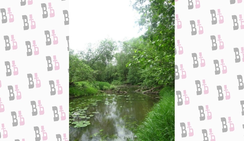 В Калужской области утвердили границы охранной зоны реки Руть