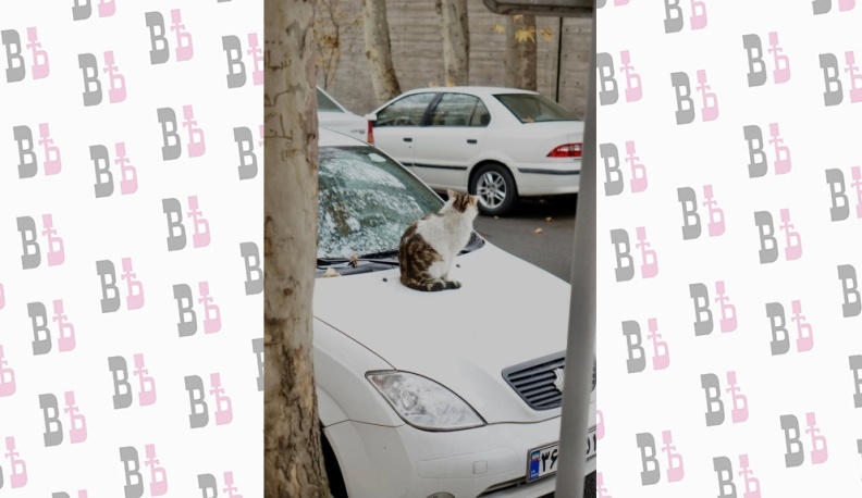 Не снимая платка