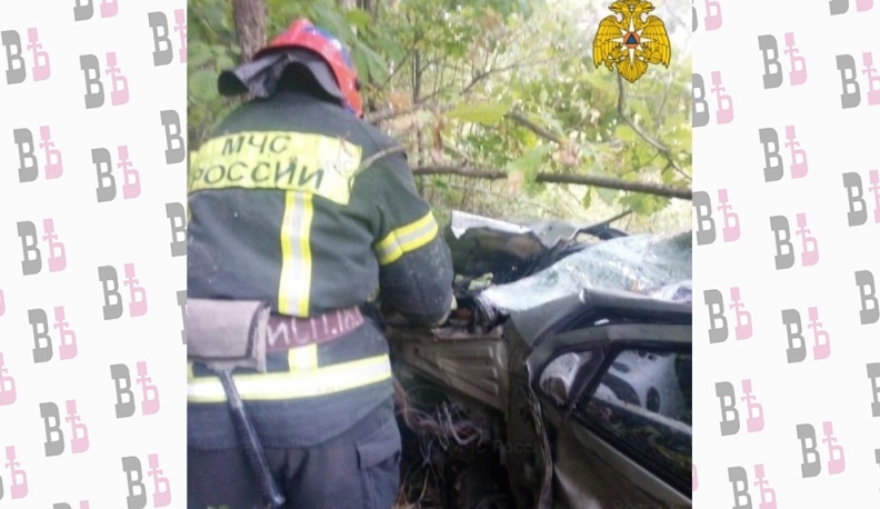 В Тарусском районе «Шевроле» сбил лося, пострадали люди 