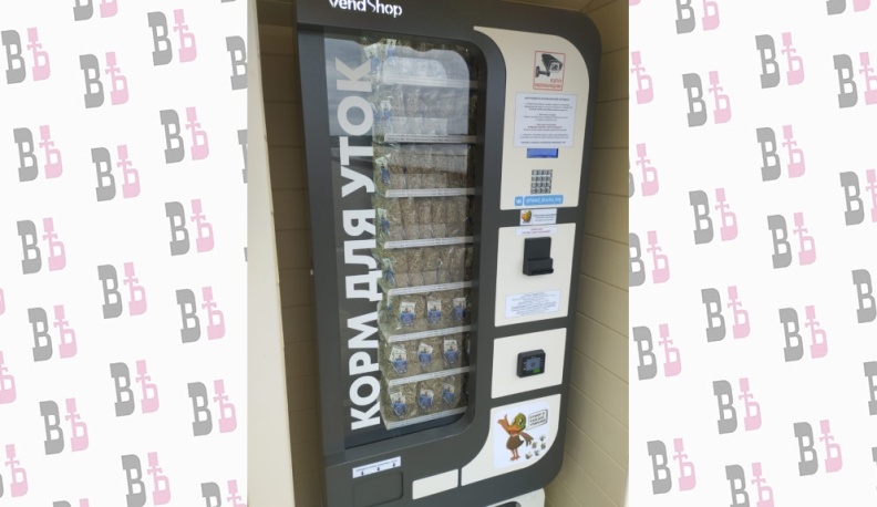 На калужской набережной установили автомат с кормом для уток