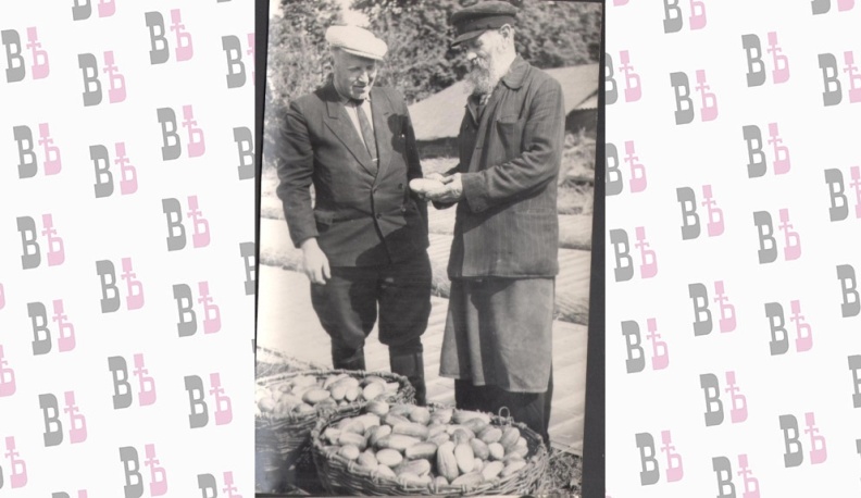 Огородный бригадир