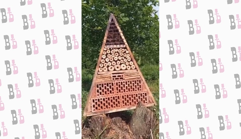 Калужские школьники покорили международное экологическое жюри