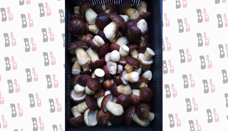 В рамках федерального проекта «Экспорт продукции АПК» в Мосальске будет построен логистической комплекс