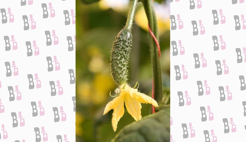 Людиновские товаропроизводители учатся работать в условиях санкций