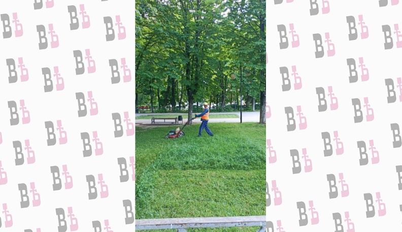 В Калуге окосили траву на площади более 1 млн квадратных метров