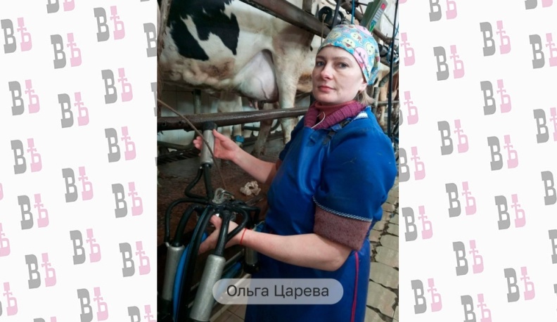 Владислав Шапша назвал лучших аграриев Калужской области 