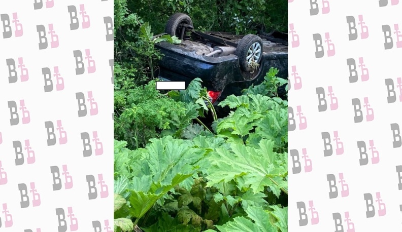 В Калужской области в улетевшей в кювет иномарке пострадали люди