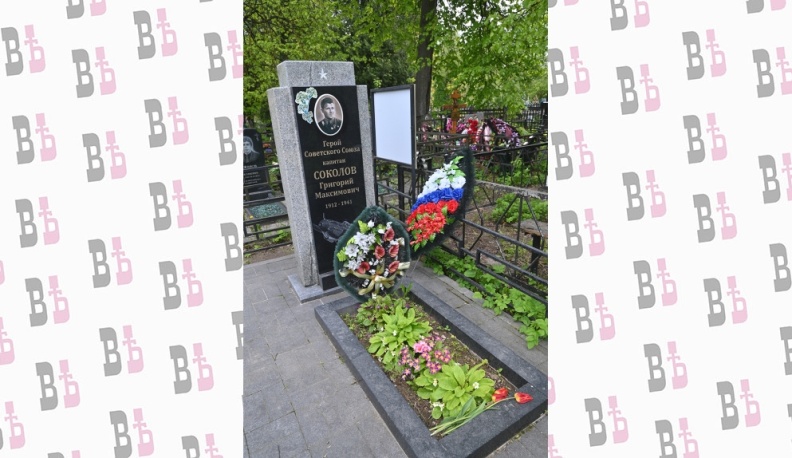 Соколиное небо