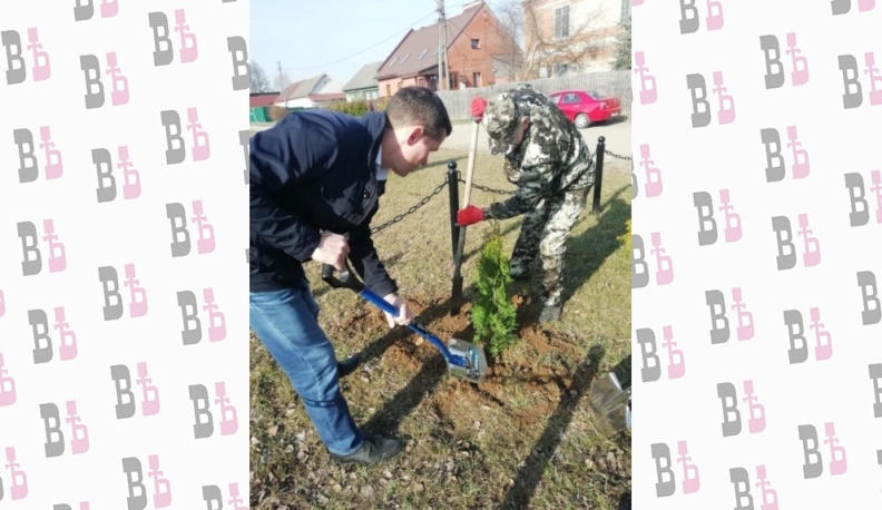 Деревья встанут, словно часовые