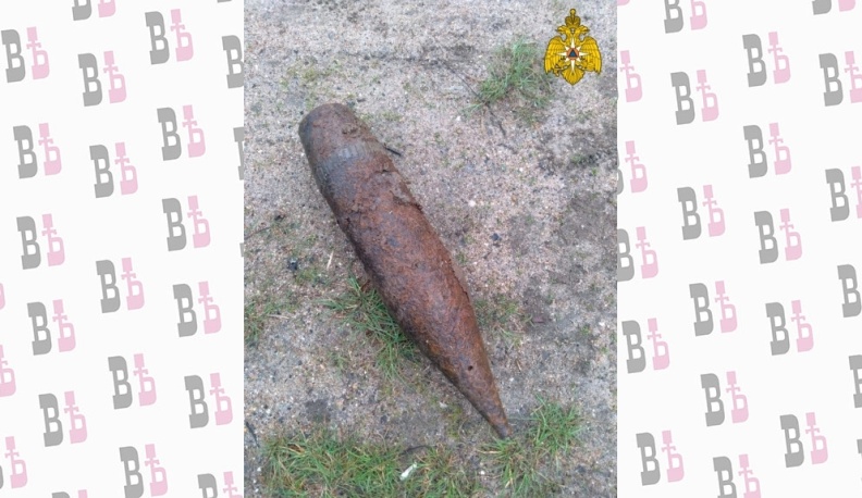 В Калужской области обезвредили несколько боеприпасов времен Великой Отечественной