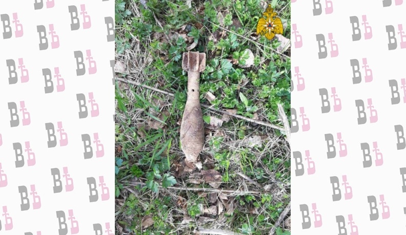 В Калужской области саперы обезвредили 13 снарядов и миномётную мину