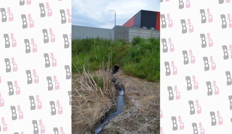 "Нас просто душат!"