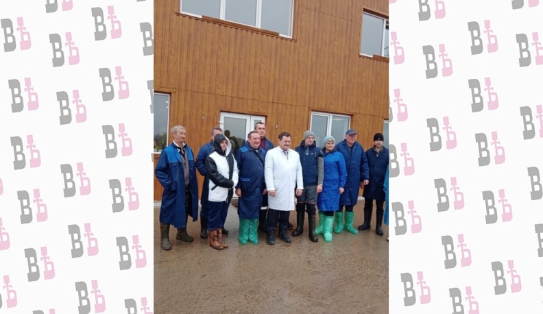 Ферзиковские ветеринары позаботились о профилактике опасных заболеваний