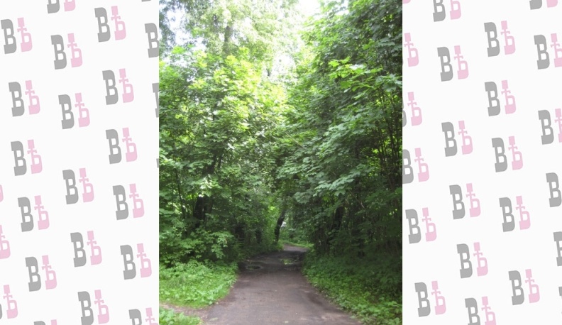 В Калужской области определили границы еще одного старинного паркового комплекса