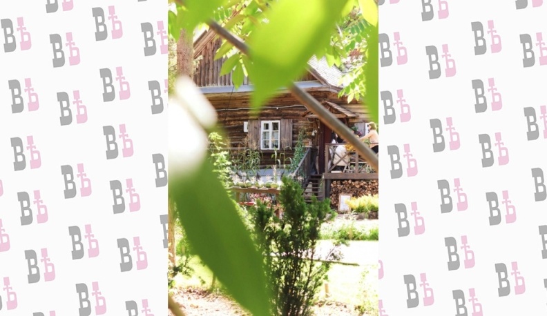 Сад Ракицкого в Тарусе возрождается благодаря инвестору и господдержке