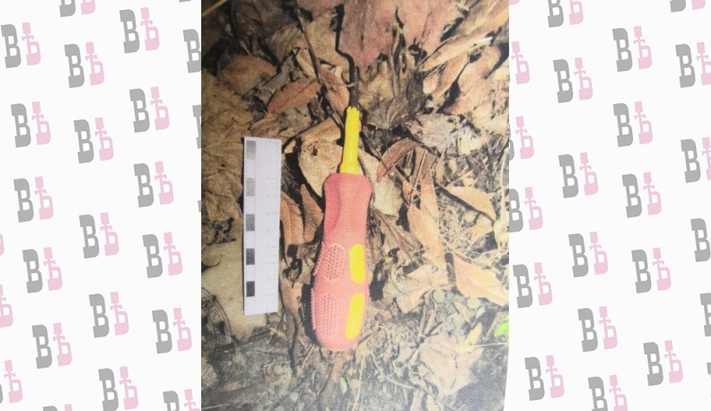 Женщина-инвалид спасла калужанина от убийцы