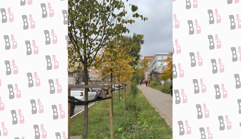 В Калуге высадили более пяти тысяч деревьев