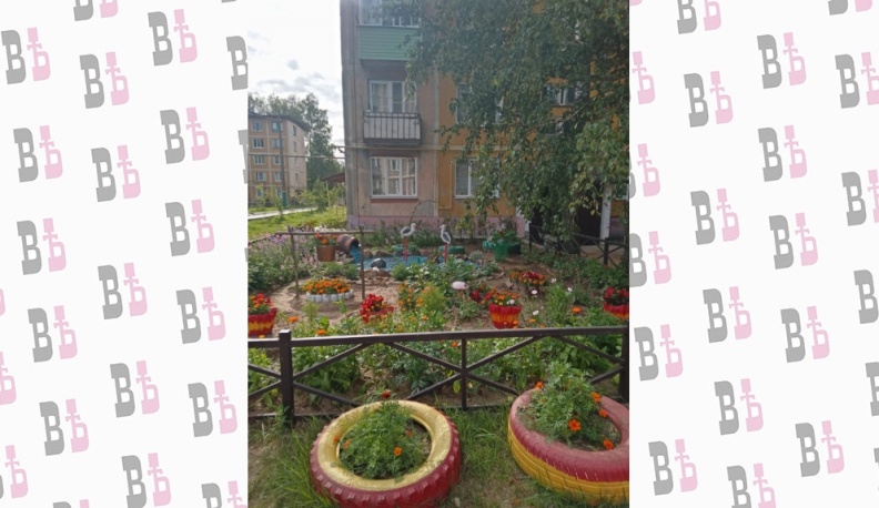 Конец лебединой песне?