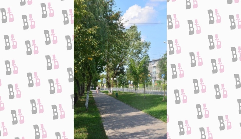 Чистота воздуха – залог здоровья