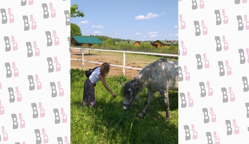 В Калужской области за восемь лет количество объектов сельского туризма выросло в два раза