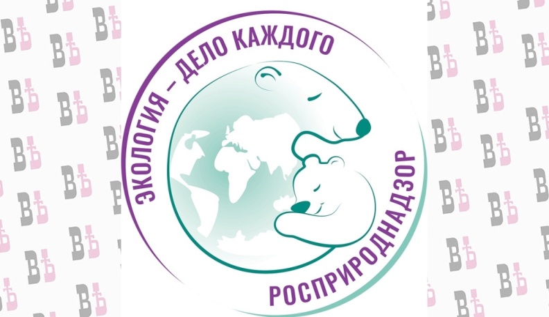 Продолжается приём заявок на конкурс Роскомнадзора «Экология – дело каждого»