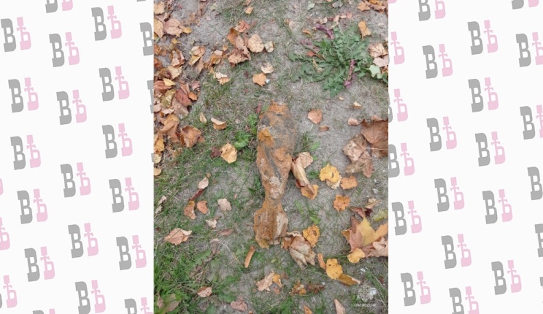 В Калужской области неподалеку от стройплощадки нашли мину времен Великой Отечественной войны