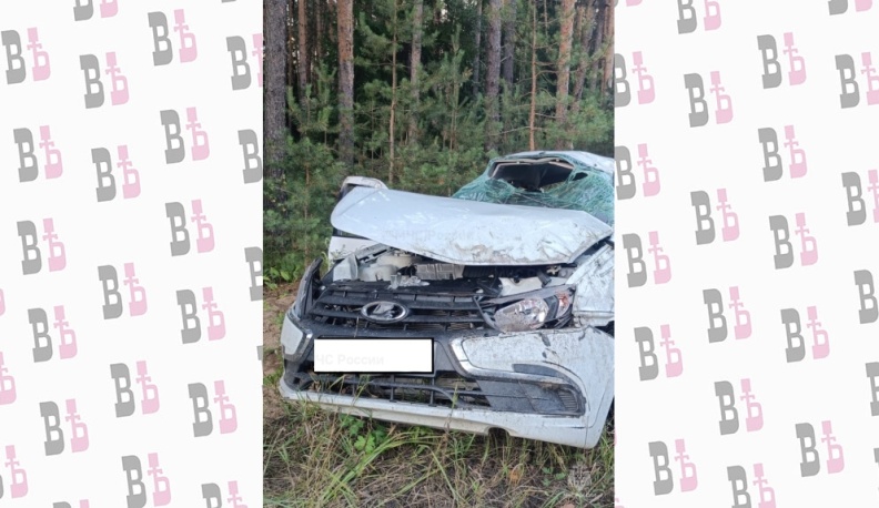 В Калужской области в вечернем ДТП скончалась девушка