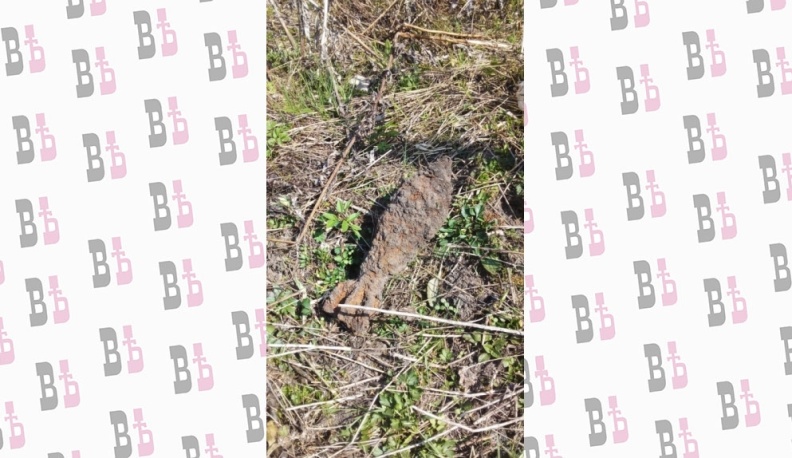 66 боеприпасов времен Великой Отечественной войны обезвредили в Калужской области 