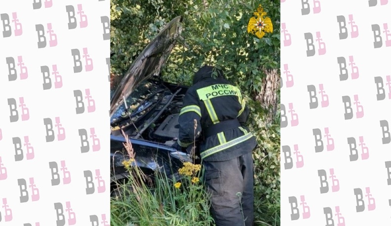 В Калужской области при съезде в кювет «Тойоты» пострадал человек